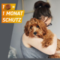 FRONTPRO 28 mg Kautabletten f.Hunde &gt;4-10 kg